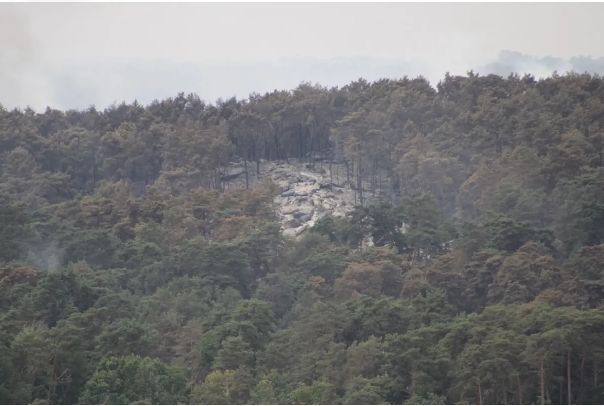 França enfrenta incêndios históricos e evacua cerca de 250 mil pessoas